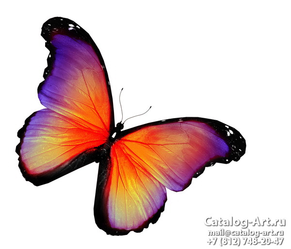  Butterflies 129